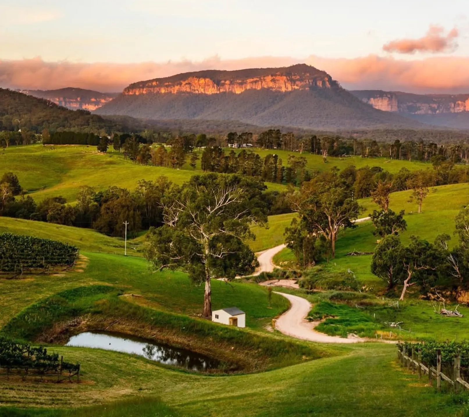 Blue Mountains National Park