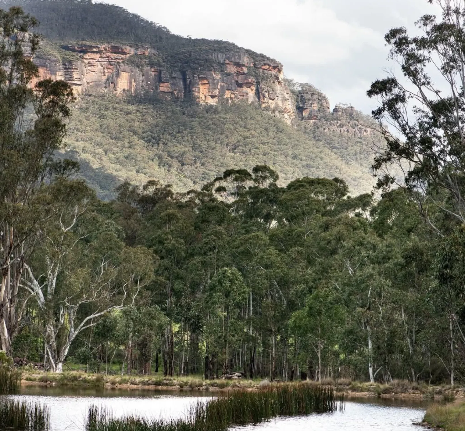 Megalong Valley views