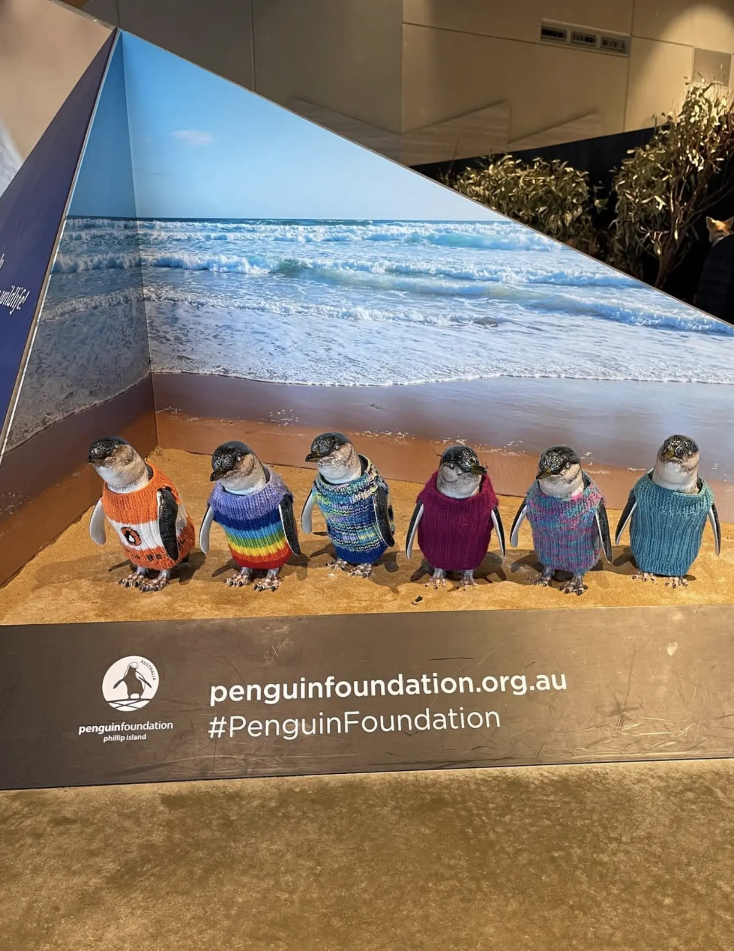 Antarctic Journey Australia