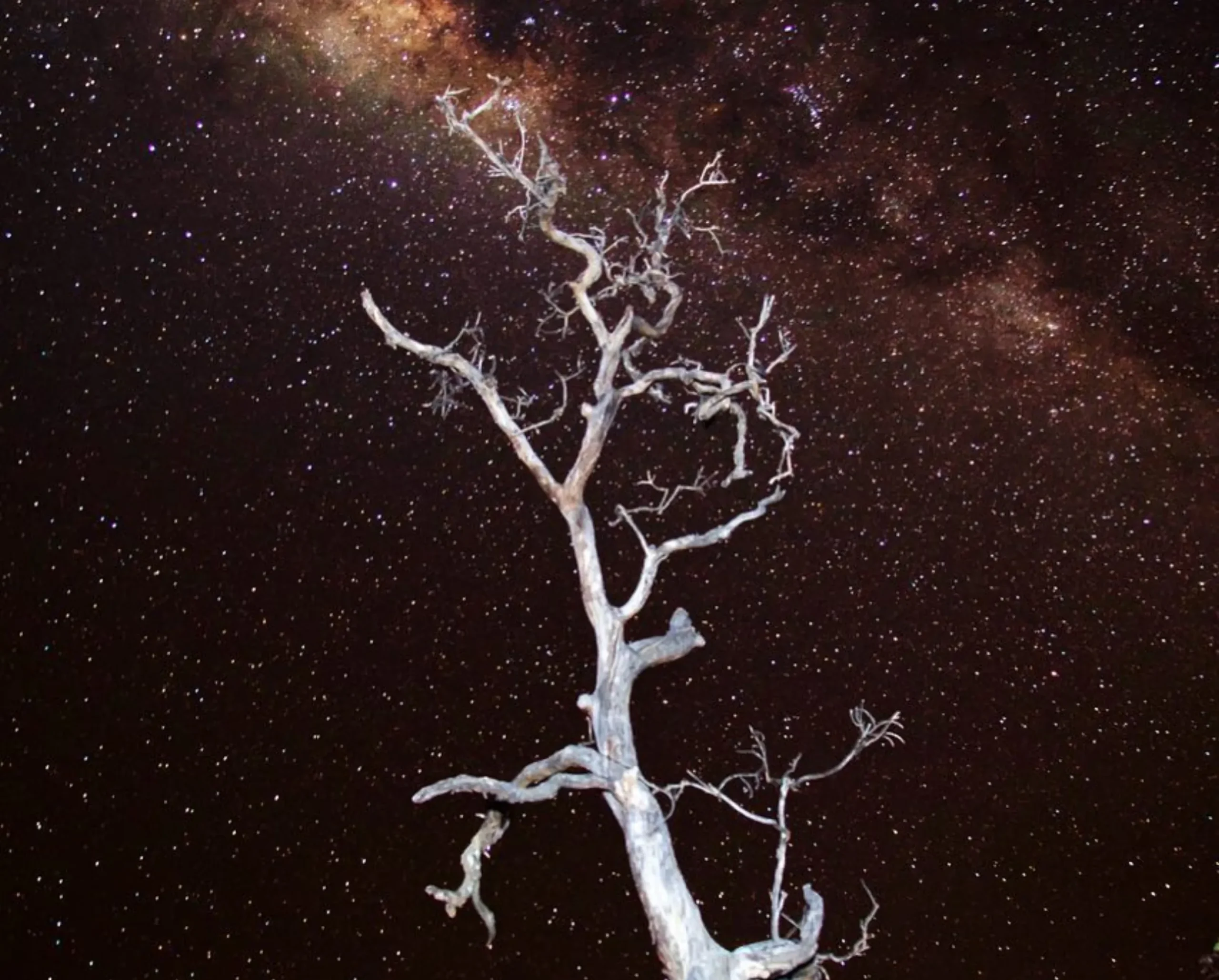 dark sky experiences Australia
