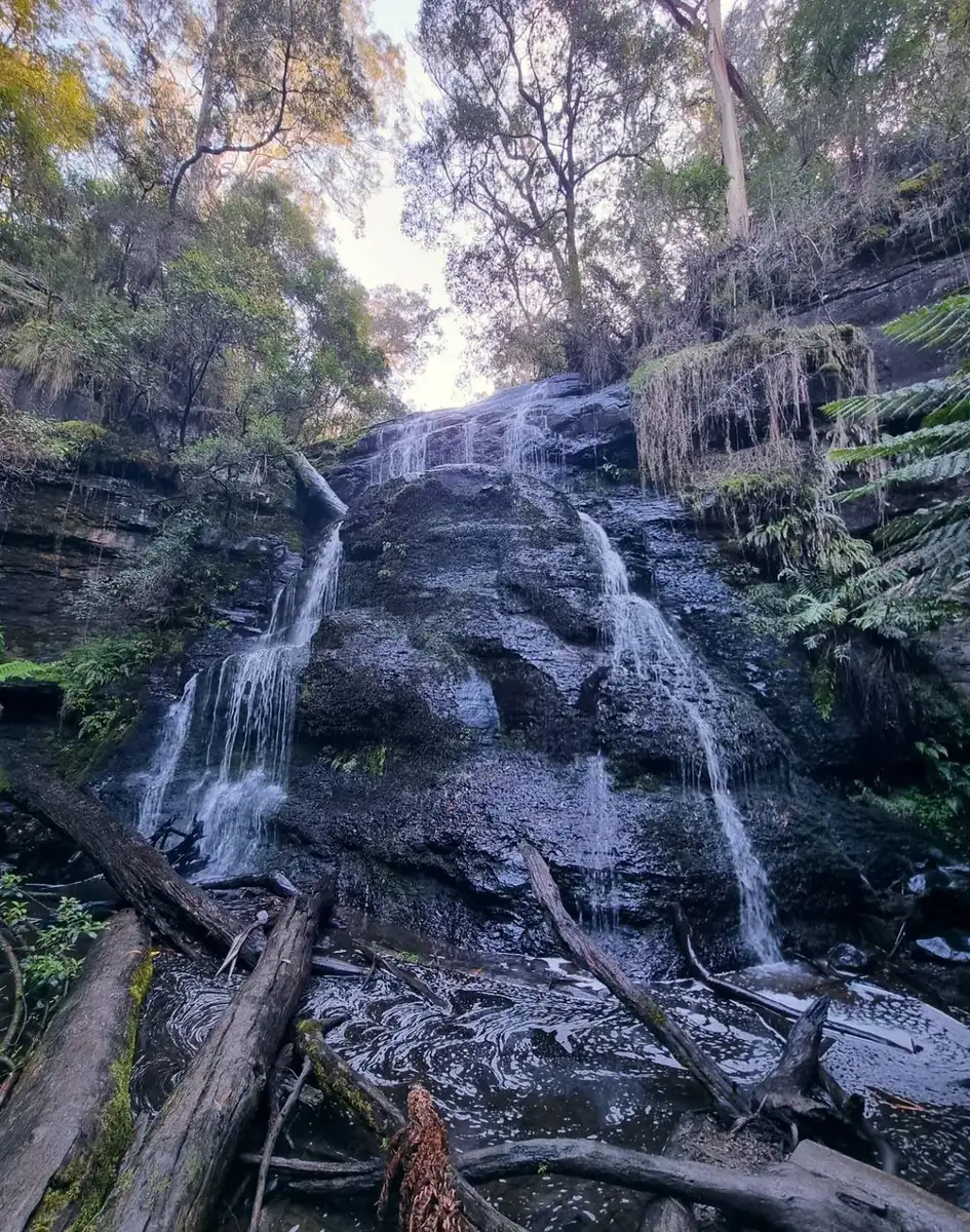 Great Ocean Road day tour from Melbourne