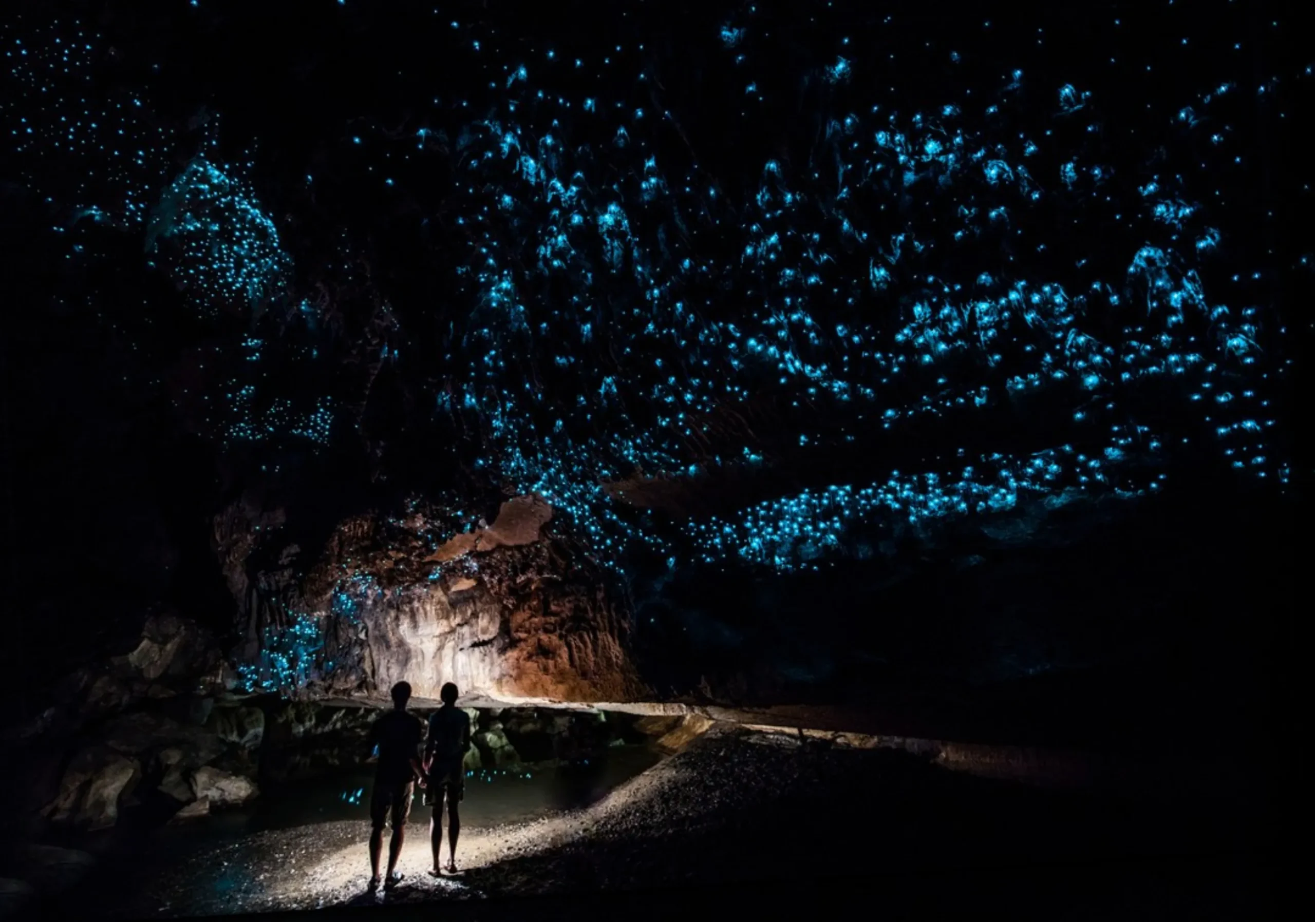 Natural Bridge glow worms