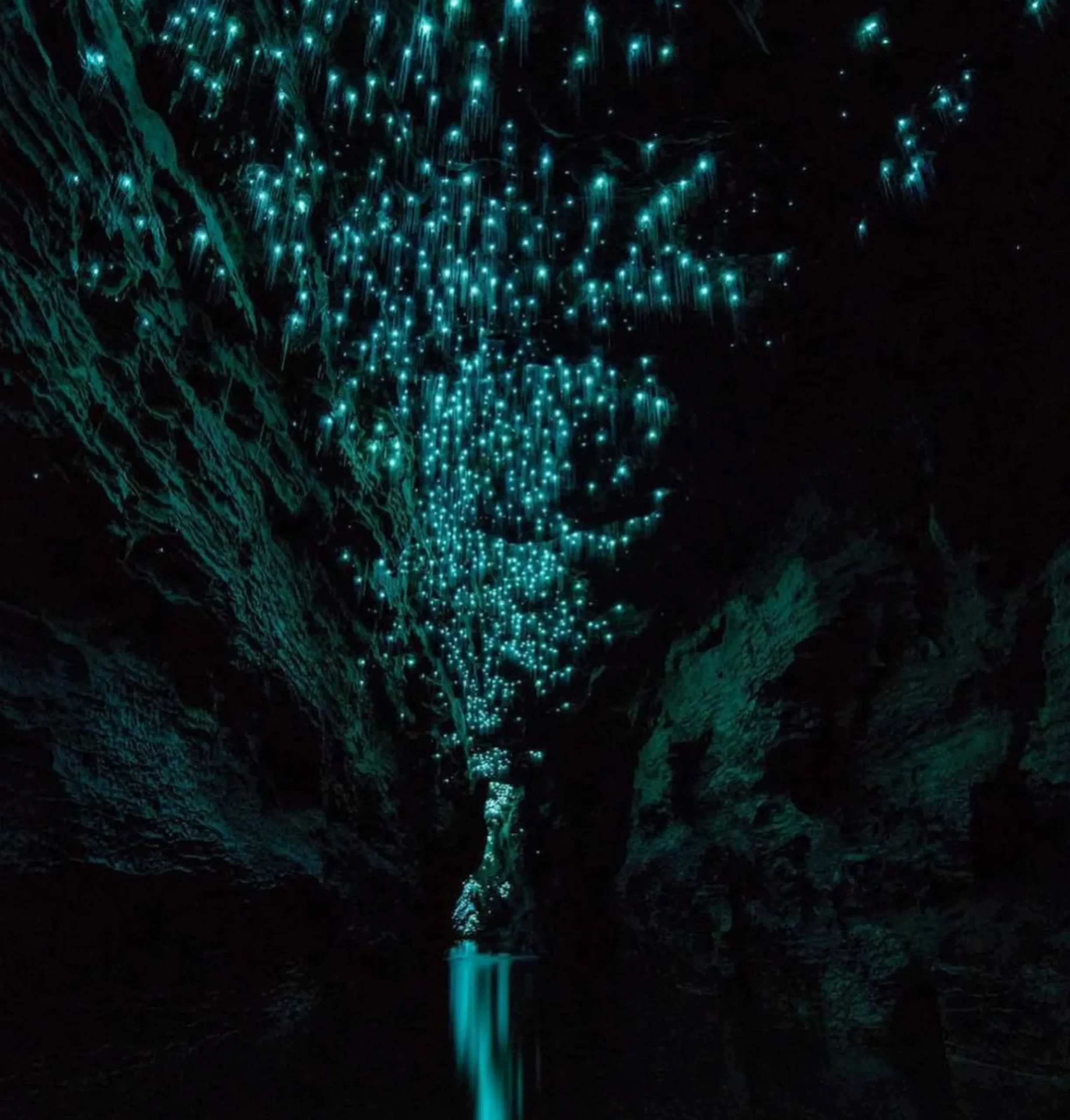 Queensland glow worm caves 2026