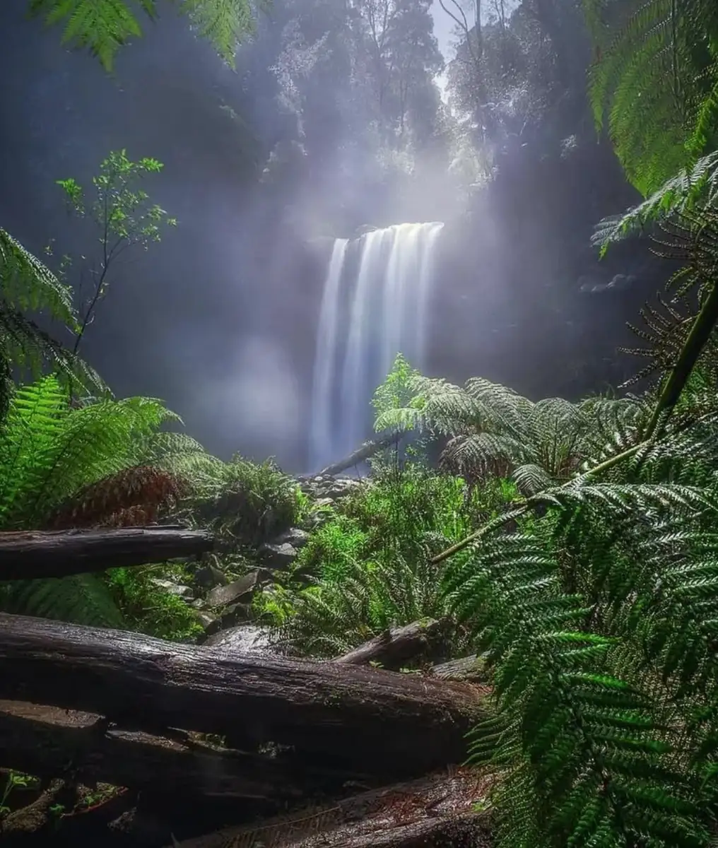 Reliable Waterfalls For Easy Access