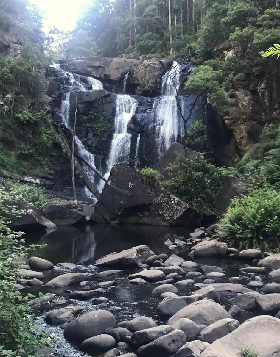 Stevensons Falls – The Easiest Place To Get Off The Road For A Dip