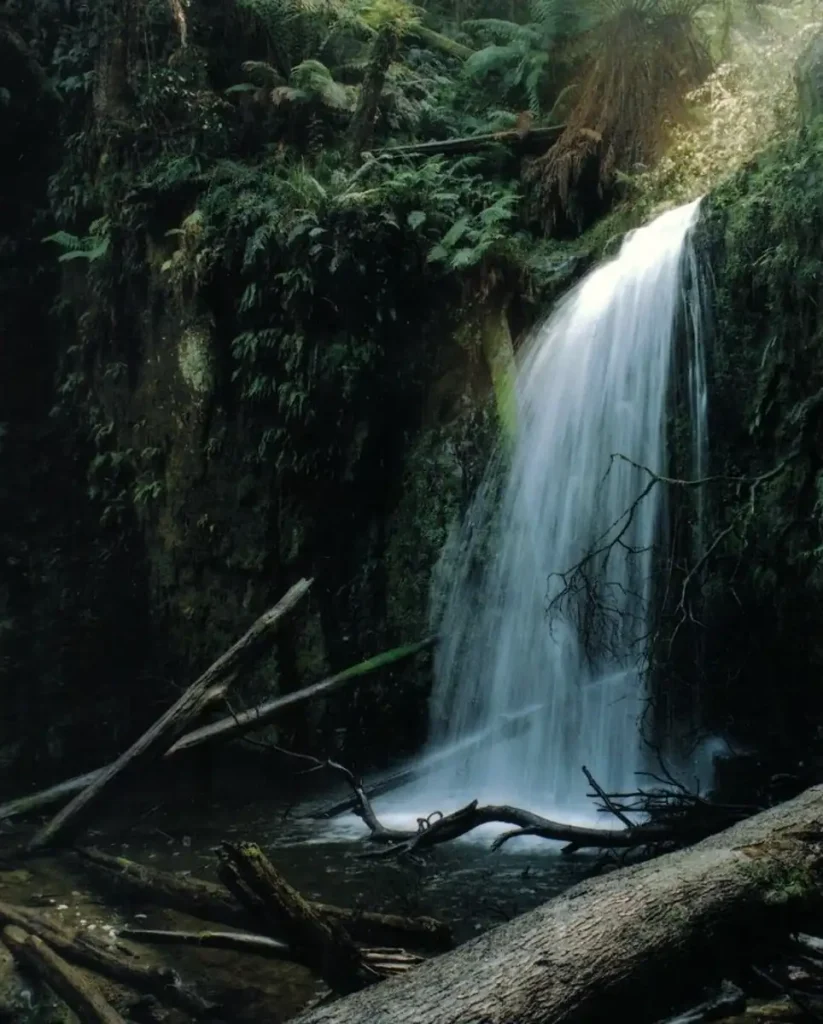 Which Waterfalls in the Otways Are Currently Accessible