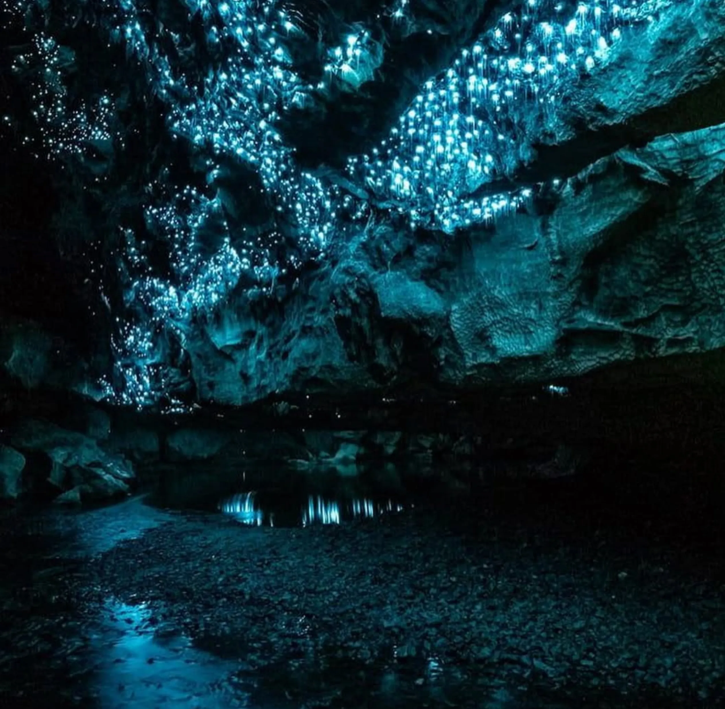 glow worm tour Gold Coast